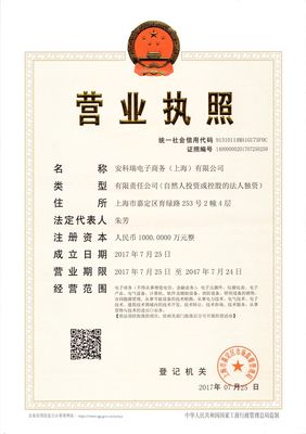 软件技术转让 公司概况与发展战略